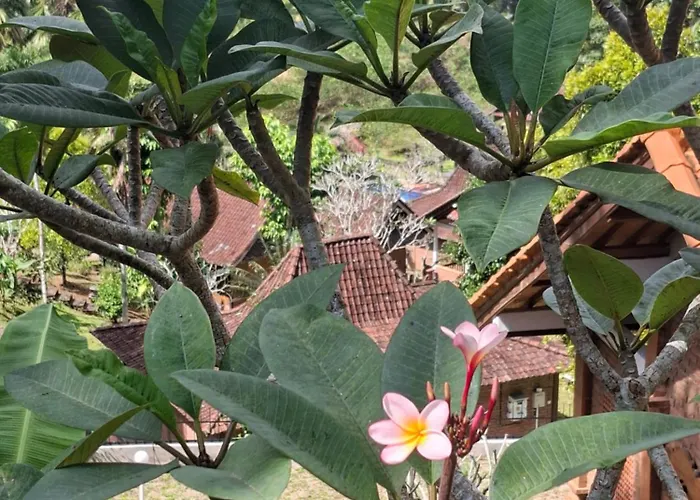 Kebun Villa, Belimbing, Bali * Selemadeg